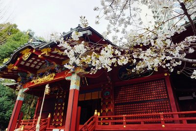 ⛩️ 도노고 하치만구 신사 이미지 2